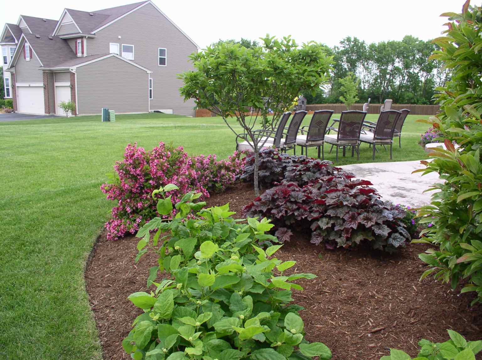 Backyard planting bed with flowering shrubs bordering a patio seating area