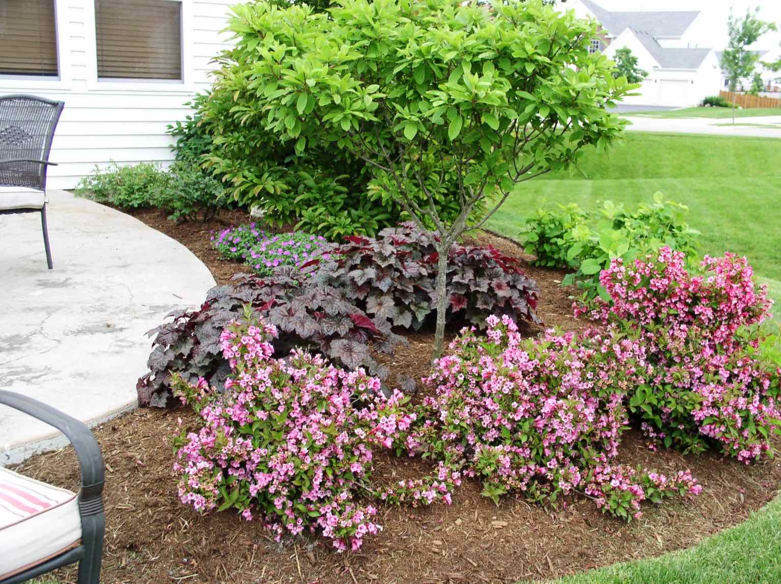 Flowering shrub bed beside a patio at the corner of a home