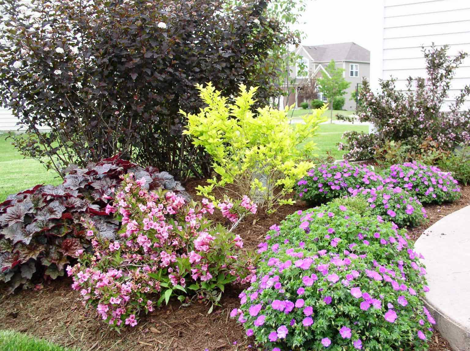 Mixed planting bed with flowering shrubs and perennials