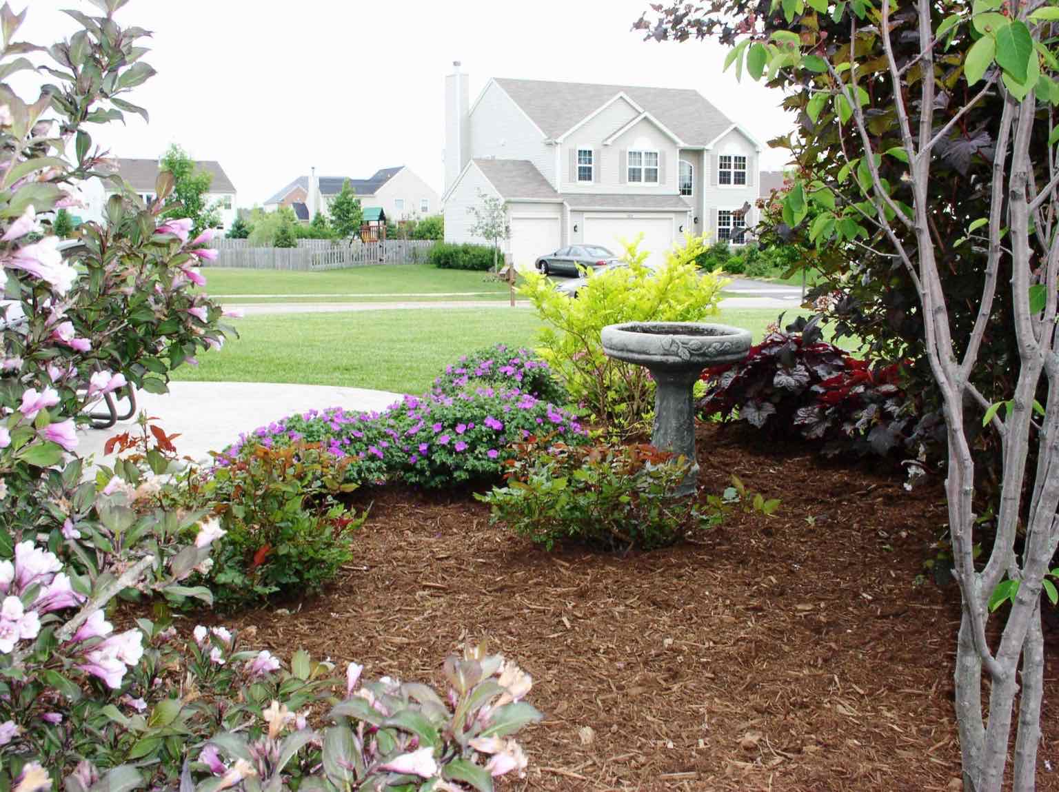 Planting bed with flowering shrubs and a garden birdbath