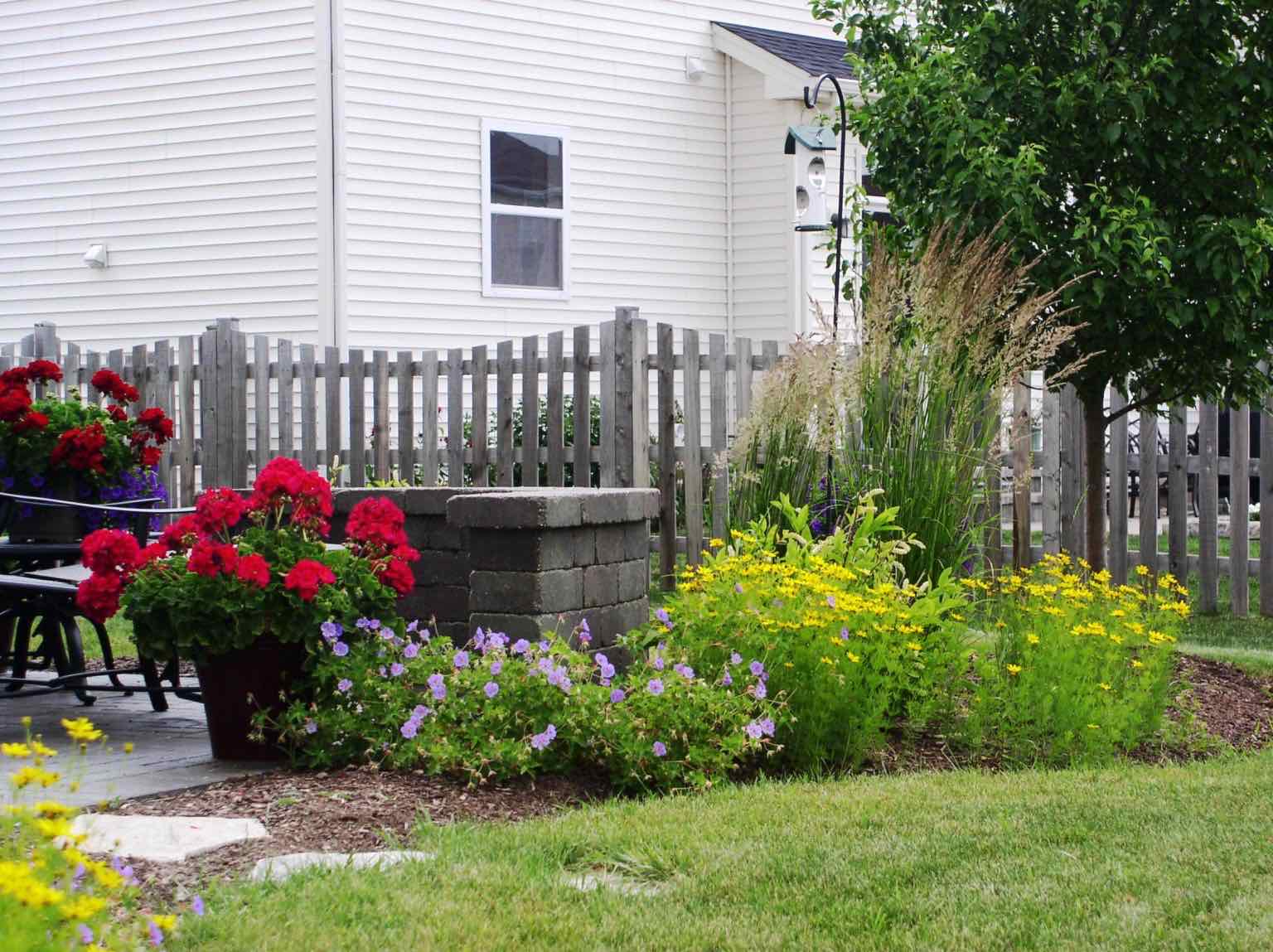 Backyard garden bed with flowering perennials and ornamental grasses