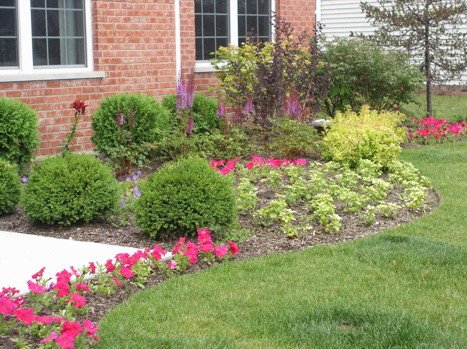 Garden bed bordering a concrete patio and walkway