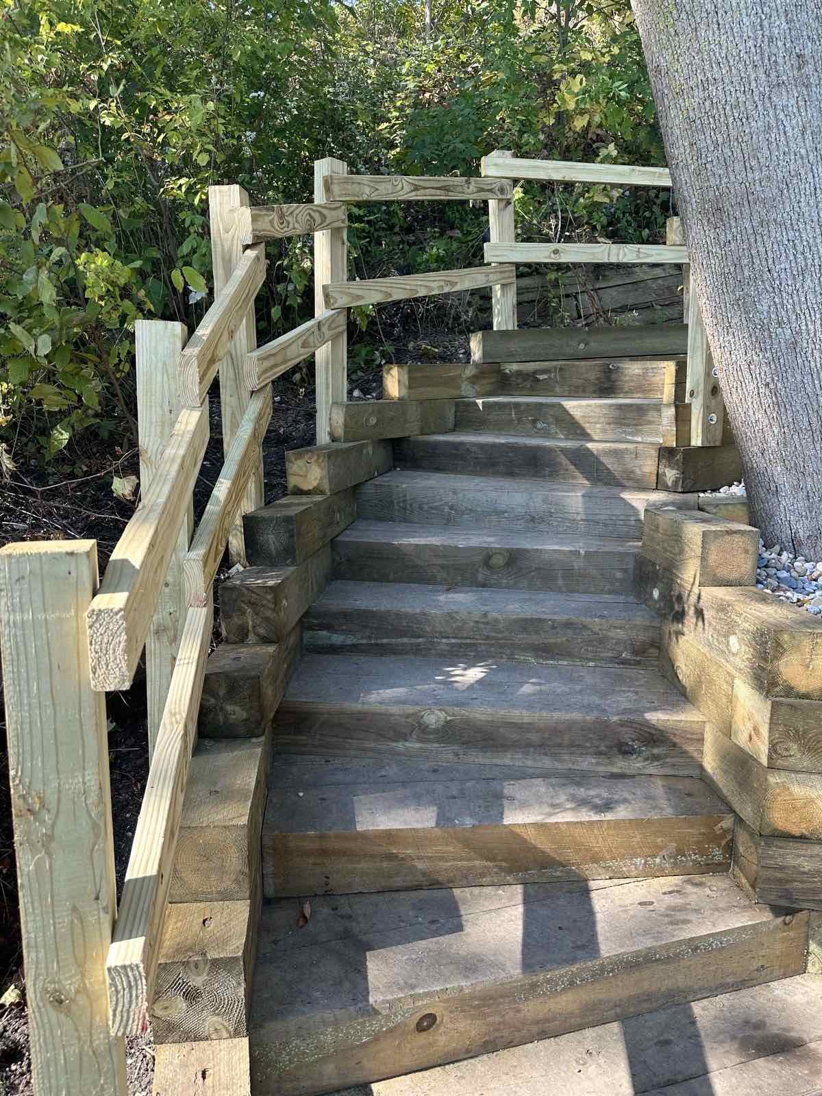 Timber staircase with handrails built into a wooded hillside